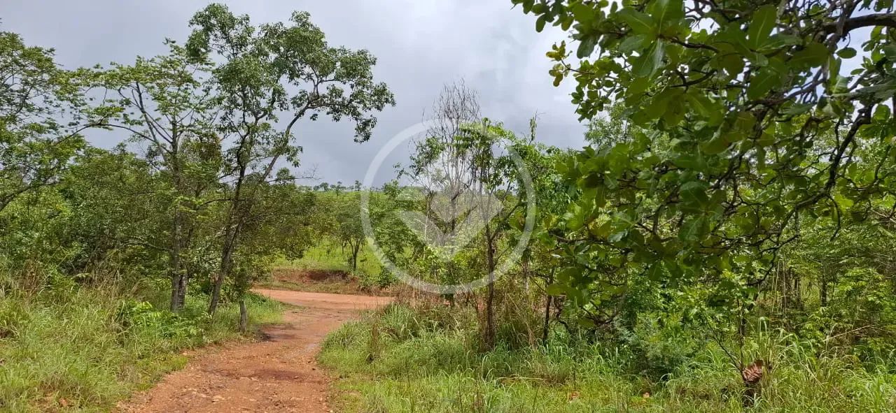 *FAZENDA NO MUNICÍPIO DE CHAPADA DA NATIVIDADE TOCANTINS. codigo: 102056 - Foto 4