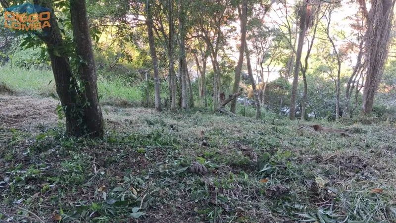 Terreno - Florianópolis SC - Foto 5
