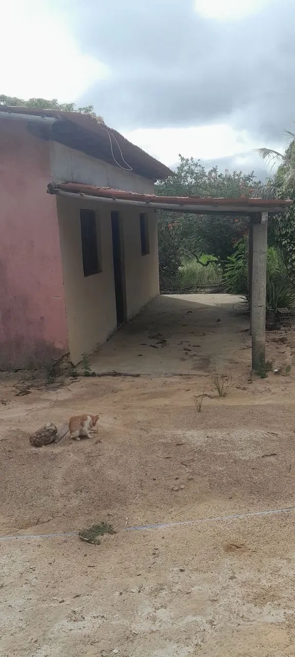 chacára - Foto 5