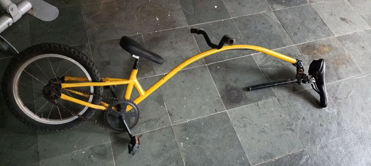 Bicicleta caroninha