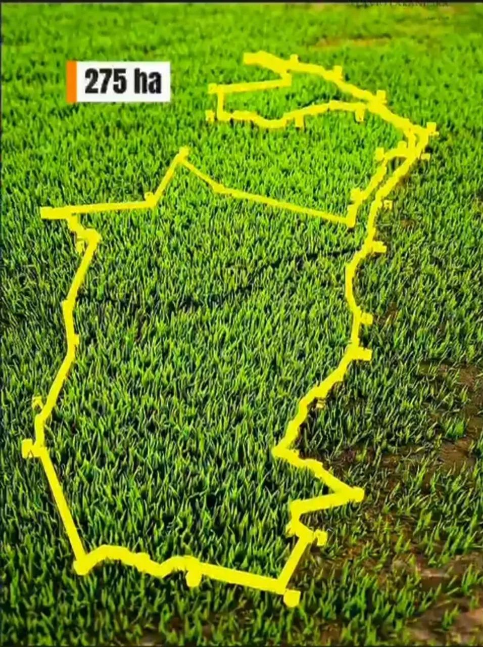 Fazenda Atalaia/ Pilar  - Foto 2