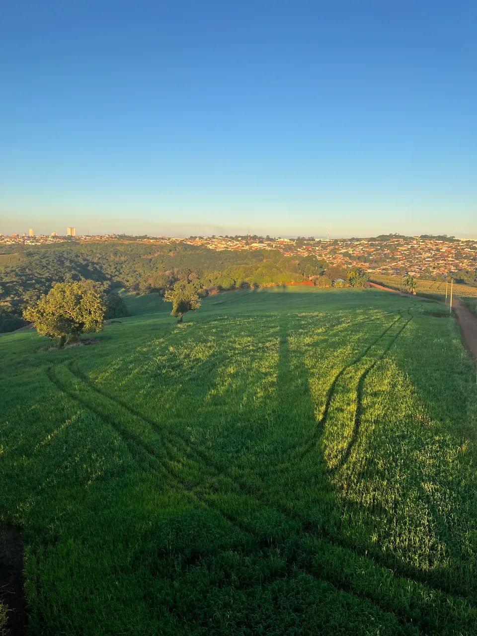 VENDE-SE Sitio em Ibiporã Paraná  - Foto 5
