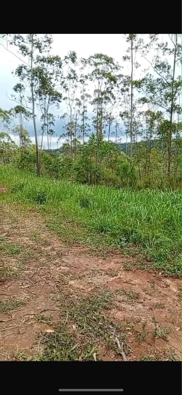 Foto - Cotia - Terras de São Felipe (Caucaia do Alto)