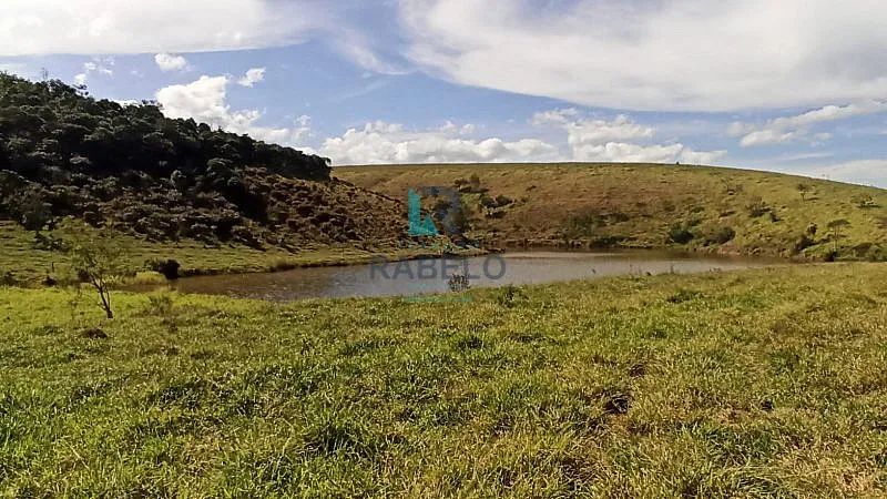 FAZENDA FORMADA PARA GADO DE CORTE E LEITE EM LORENA-SP