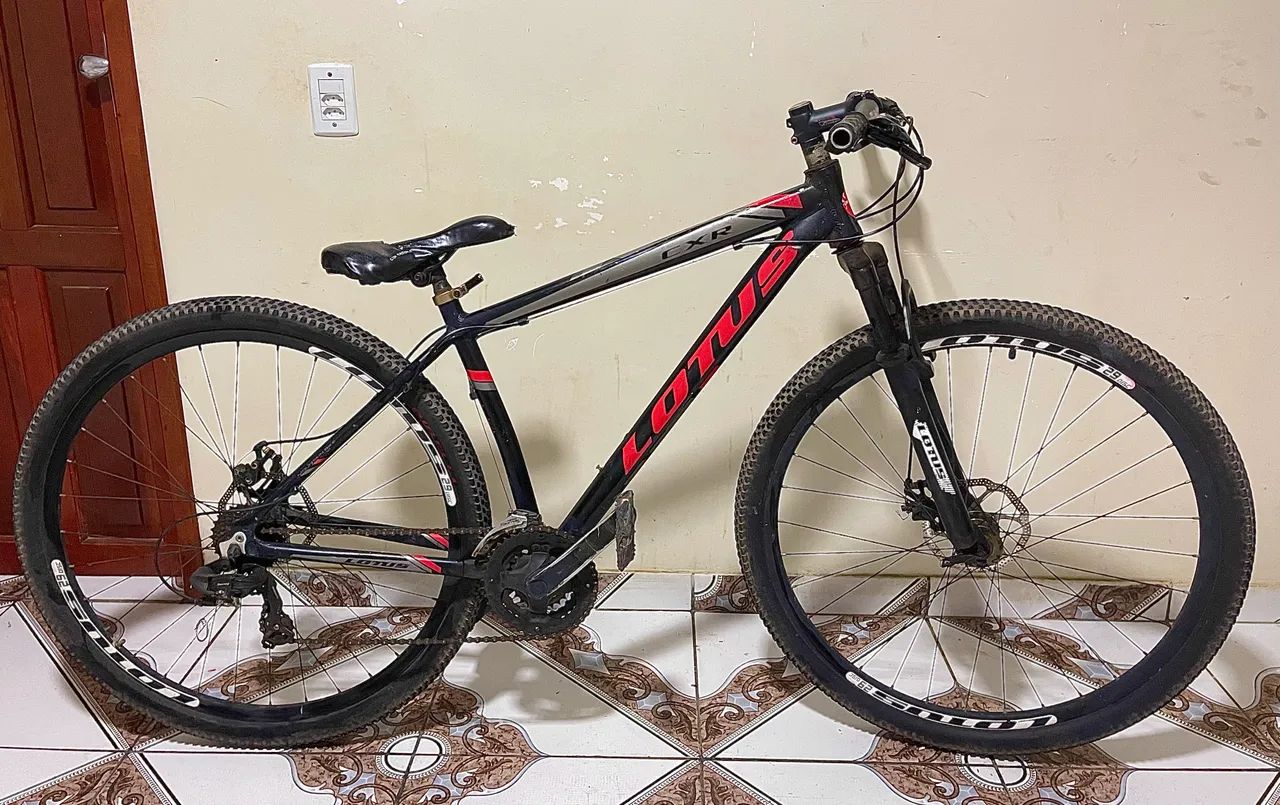 Bicicleta Lotus 29 - Foto 2