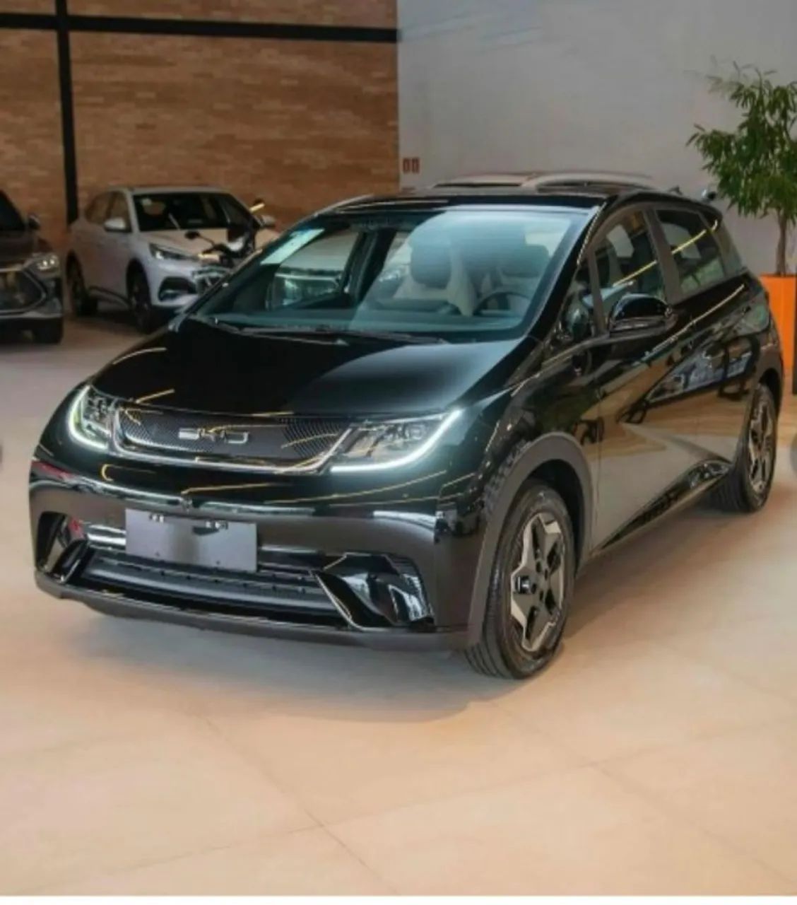 BYD Dolphin EV (Elétrico) 2027 - Foto 3