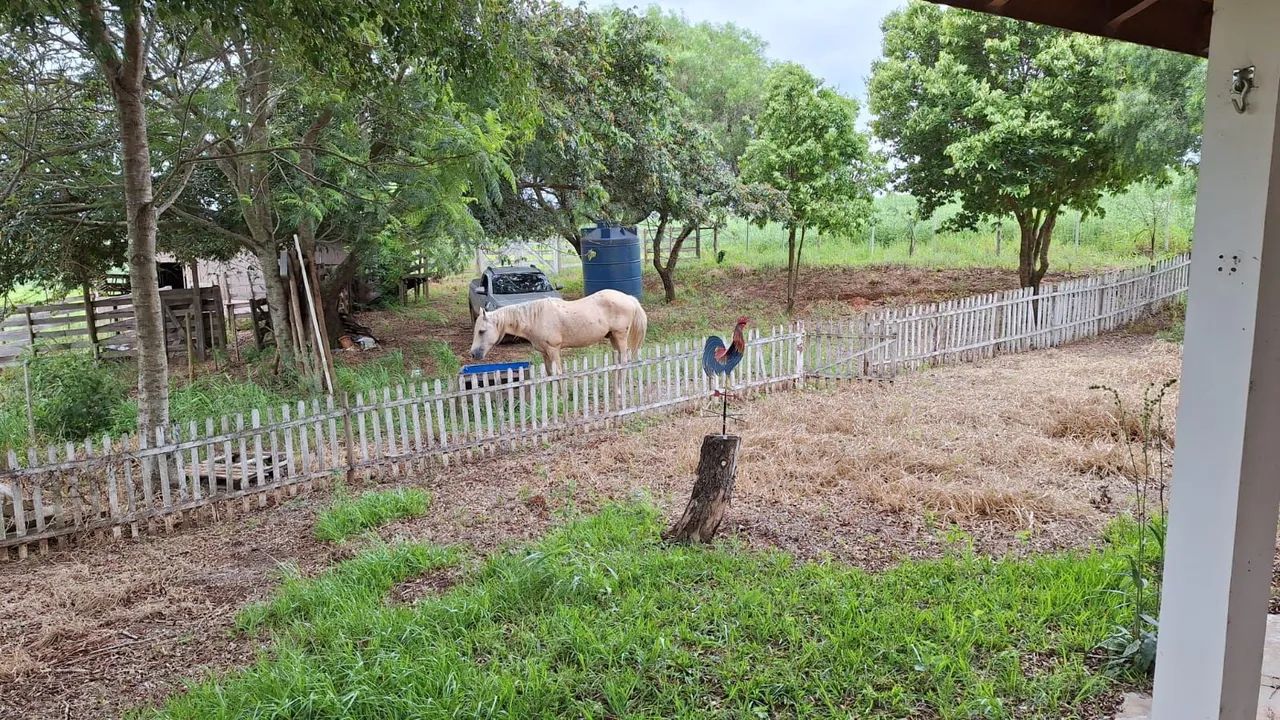 Sítio em Itaberá sp  - Foto 3