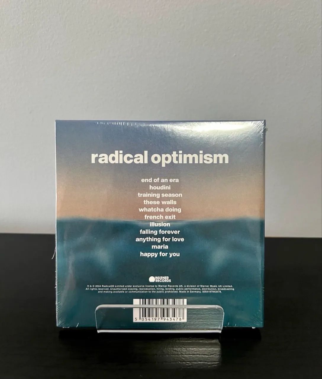 radical optimism - Foto 2