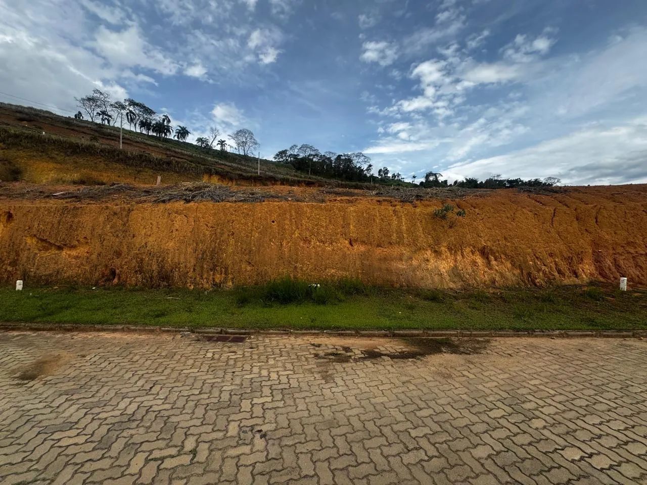 Lote / Terreno - Salvaterra - Foto 4