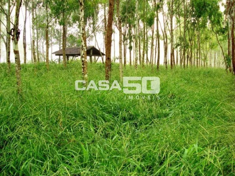 fazenda - Centro - Pimenta - Foto 4