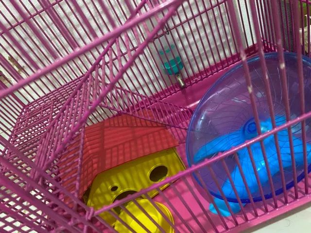 Gaiola de hamster com acessórios. - Foto 2