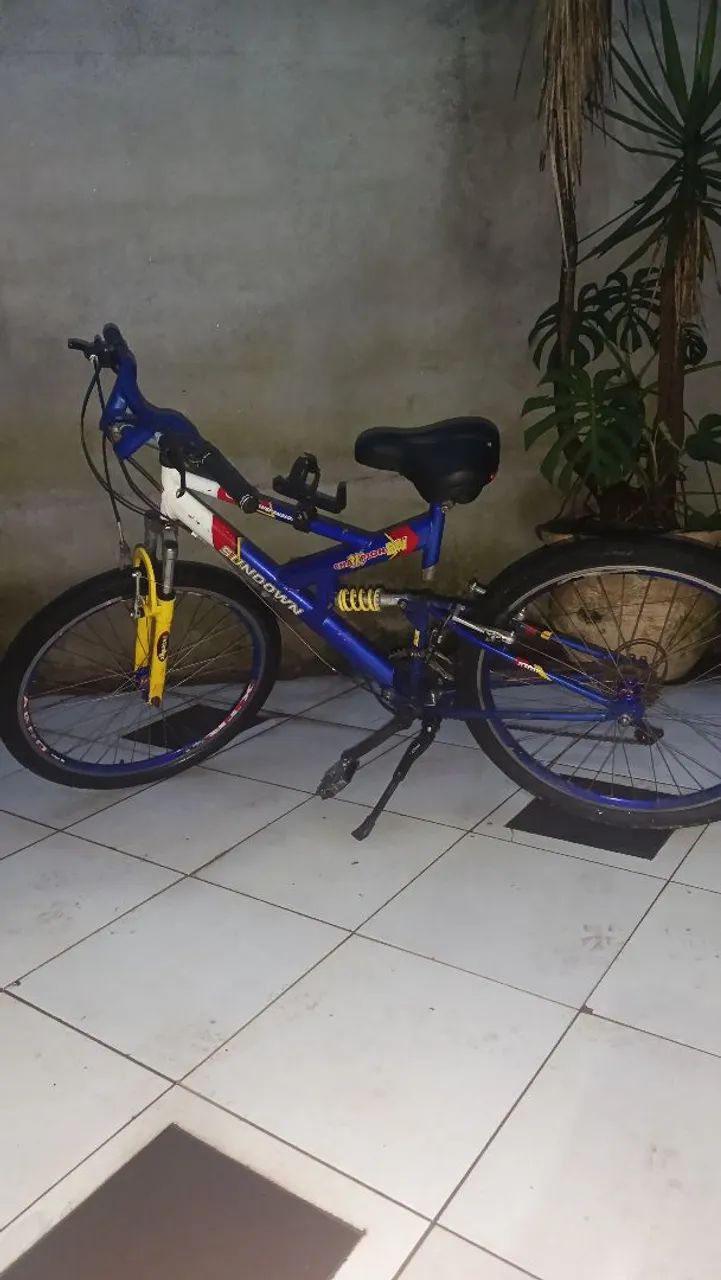 Bicicleta 