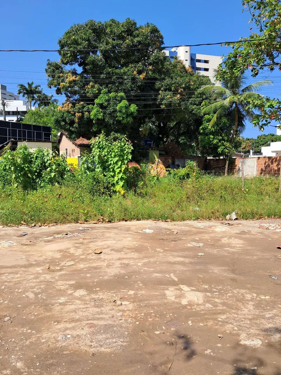 Terreno  - Foto 2
