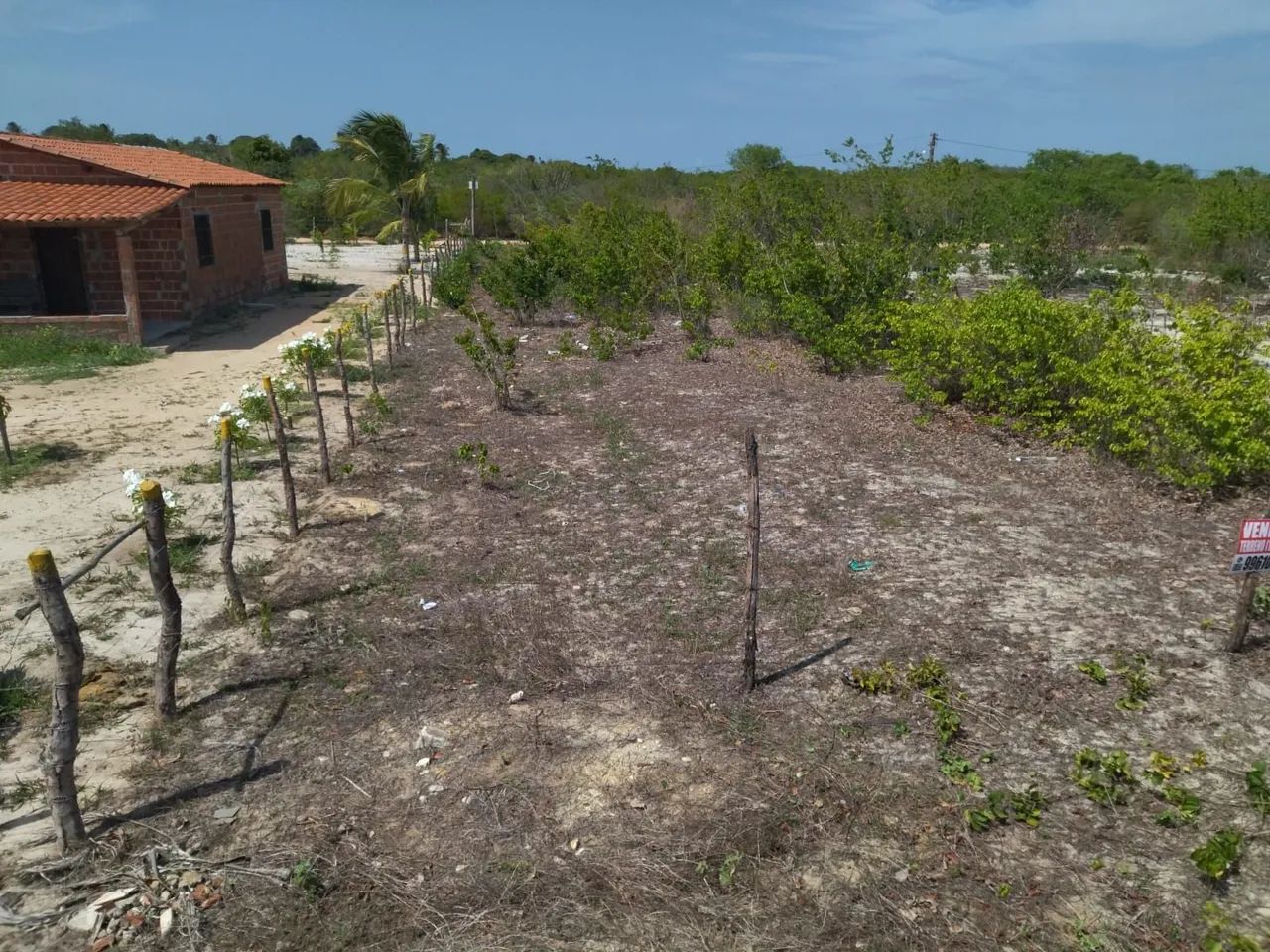 Terreno 12x50 em Muriti Paracuru  - Foto 2