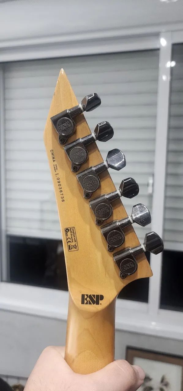 Guitarra ESP LTD Alexi-200 (Upgrade Dimebucker) - Instrumentos