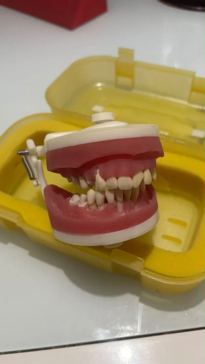 Manequim de perio e dentistica - Foto 3