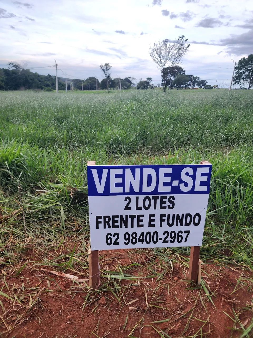 Foto - Goiânia - 