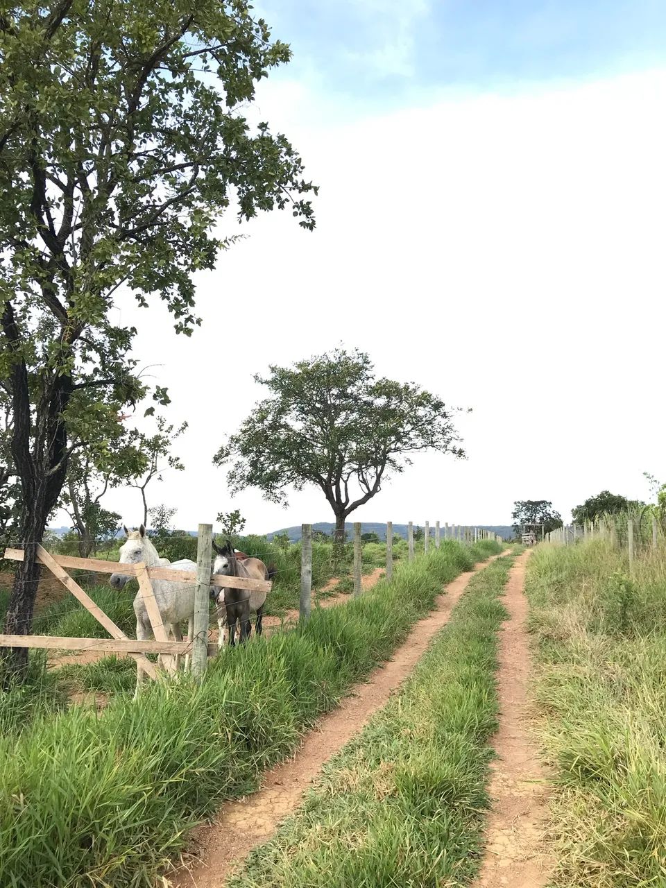 Terreno no Sítios Agrovale  - Foto 4