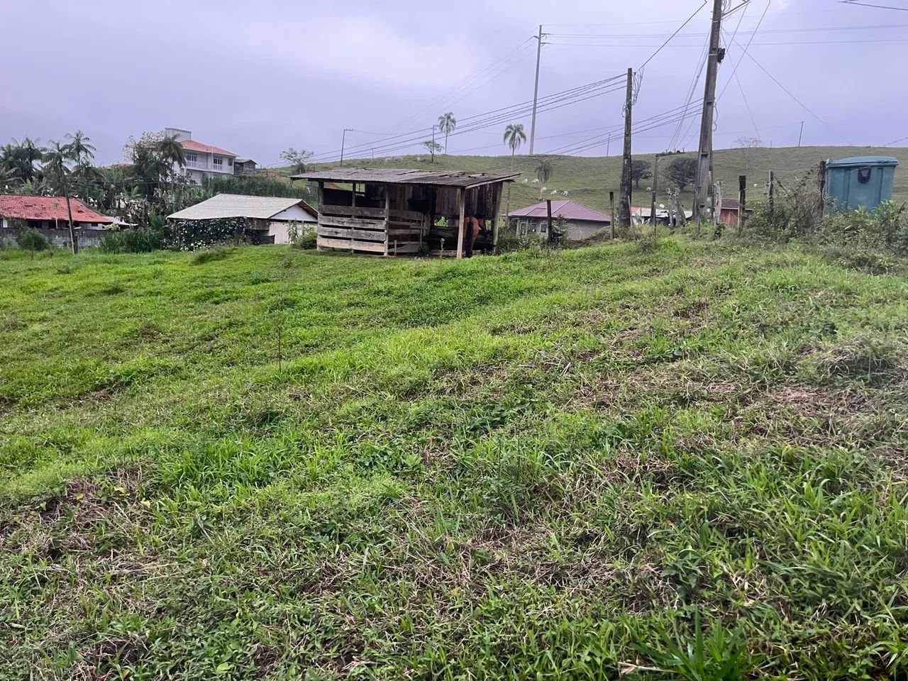 Terreno em Santo Amaro da imperatriz  - Foto 4