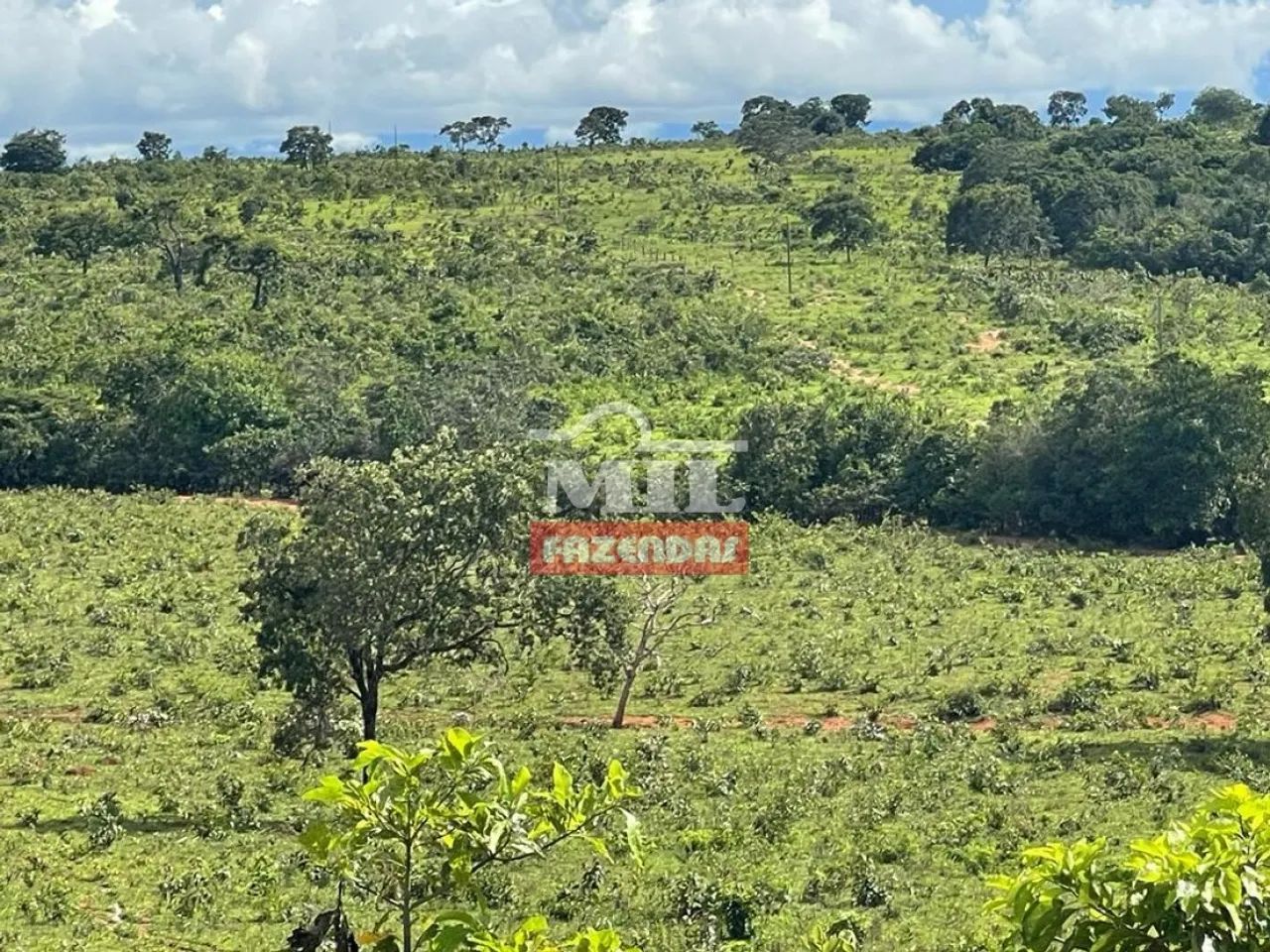 Fazenda Dupla Aptidão em Uruaçu-GO. (44 Alqueires) - Foto 2