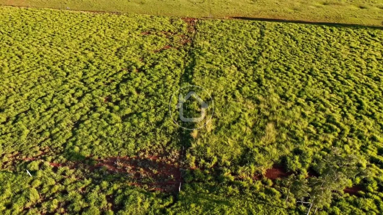 CHACARA 5.5 HECTARES - JARAGUARI - Foto 4
