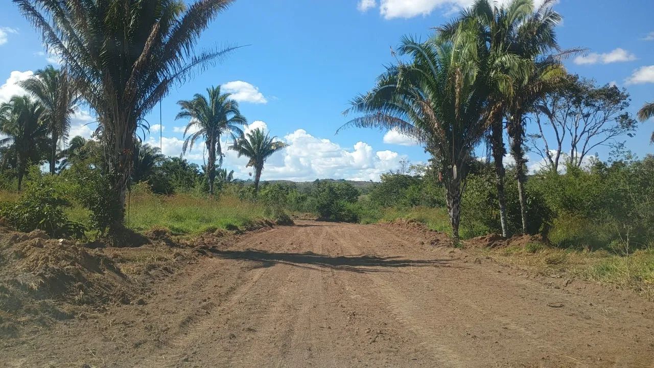 Chácara com entrada no boleto girassol Go  - Foto 3