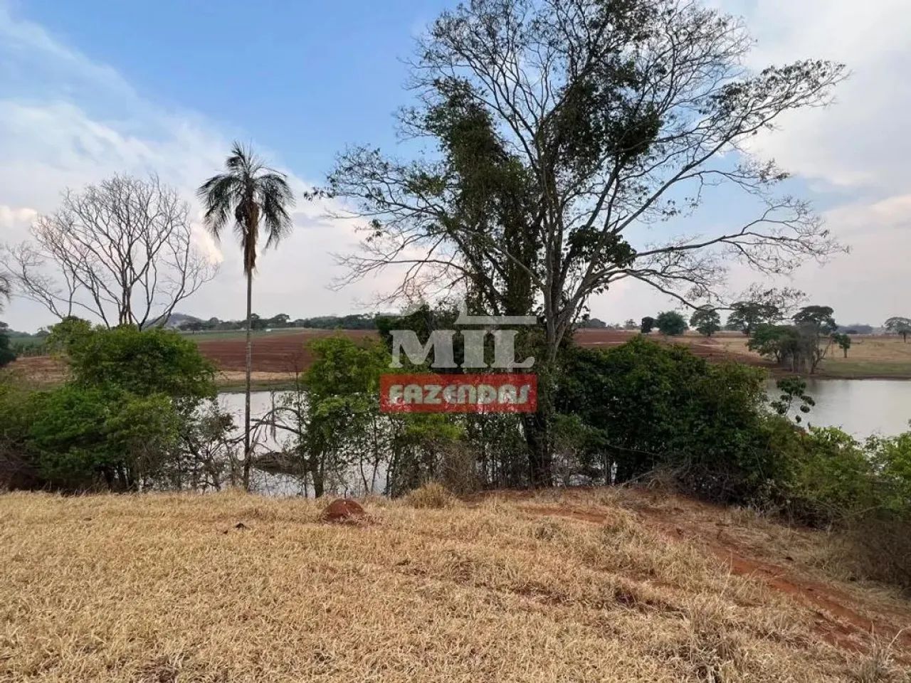 Chácara 5 Alqueires (24,2 Hectares) Brazabantes - GO - Foto 5