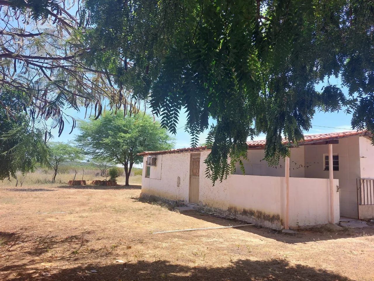 VENDO - SÍTIO 3,24 HECTARES - SOBRADINHO BA  - Foto 5