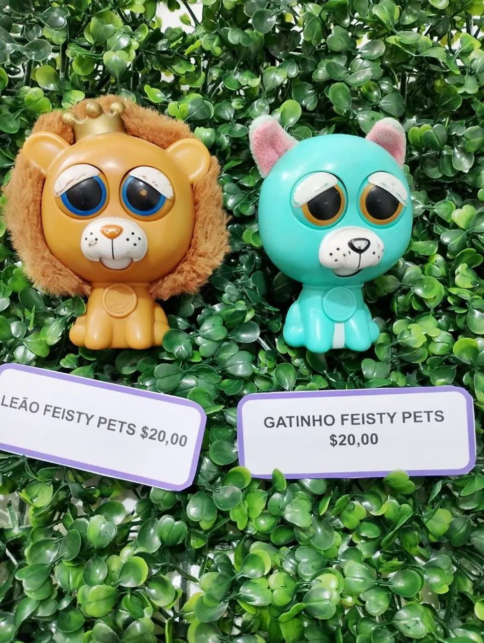 Miniatiras Feisty Petes