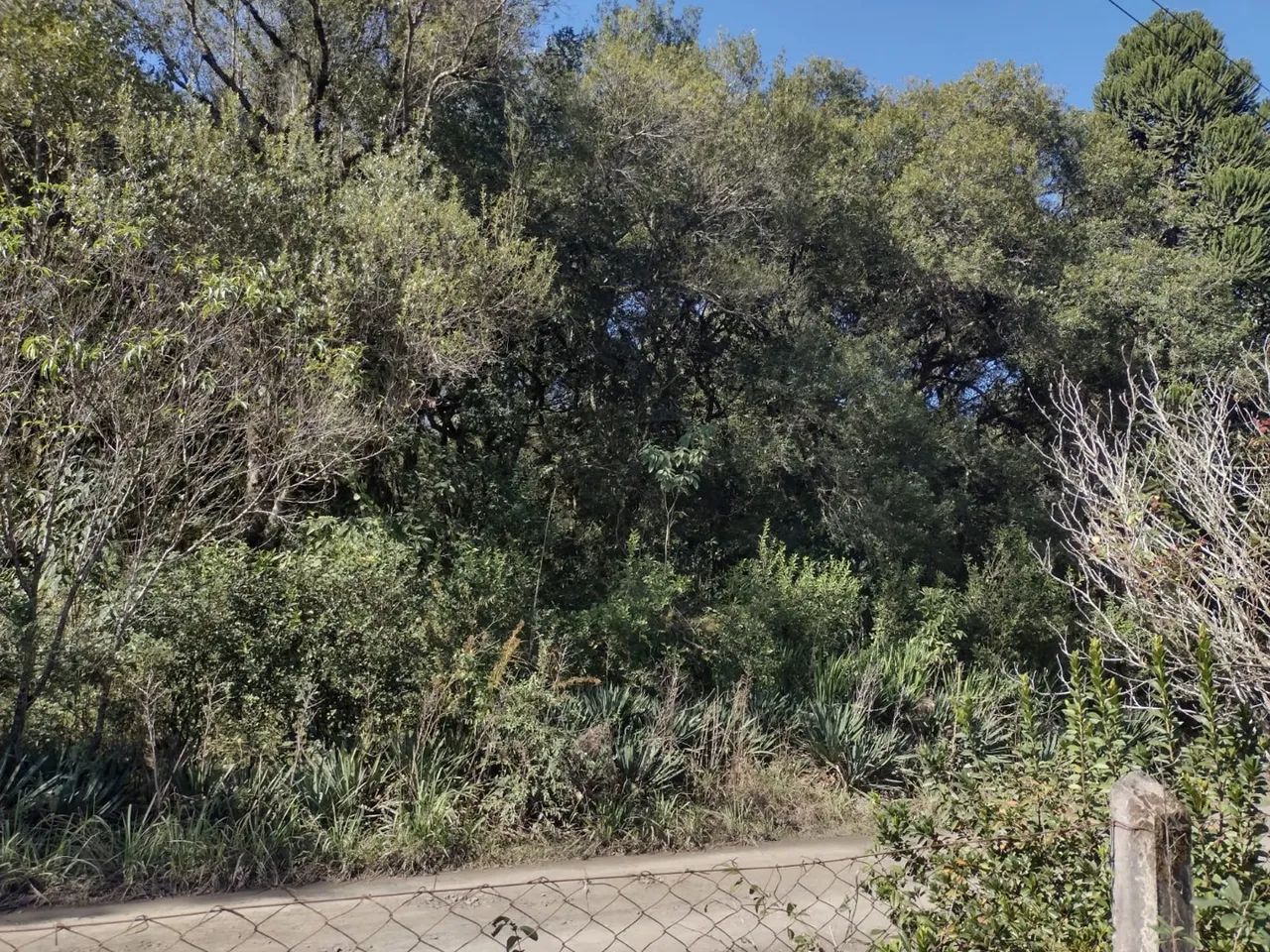 Terreno em São Mateus do Sul  - Foto 3