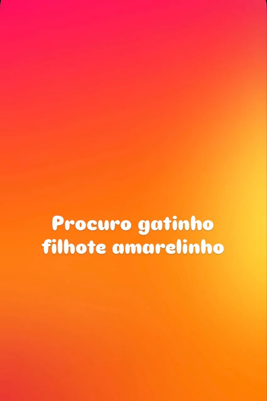Procuro 