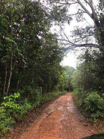 86 Alq 140 km de Goiânia - Foto 12