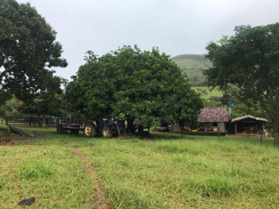 86 Alq 140 km de Goiânia - Foto 15