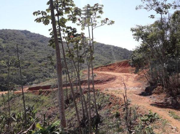 Sítio Localizado na Estrada Geral, Alto Braço Baú, 45 mil m² - Foto 9