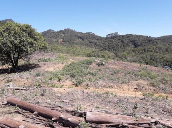 Sítio Localizado na Estrada Geral, Alto Braço Baú, 45 mil m² - Foto 2