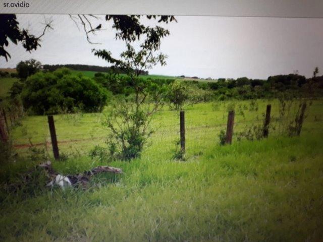 Reginópolis-área de 10600m2 - Foto 11