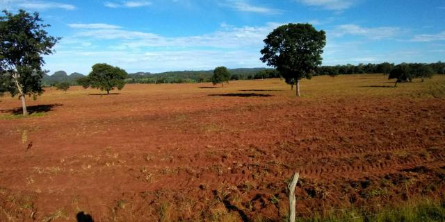 FAZENDA 680 HECTARES - Região de Guiratinga - Foto 5