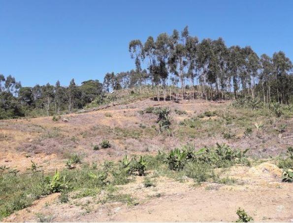 Sítio Localizado na Estrada Geral, Alto Braço Baú, 45 mil m² - Foto 5