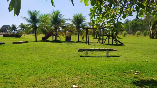 Polinésia - Foto 3