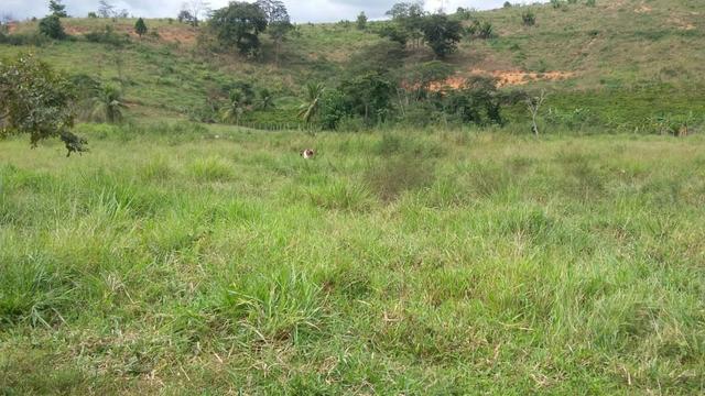 Sítio Próximo ao Trevo de Pacas X Colatina - Foto 14