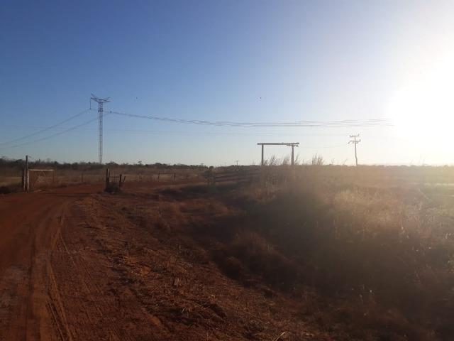 Chácara 04 hectares - Flores de Goiás - Foto 3
