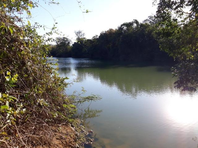 Chácara 04 hectares - Flores de Goiás - Foto 14