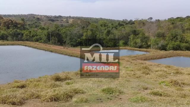 Oportunidade chácara, sítio 4 Hidrolândia/Aragoiania