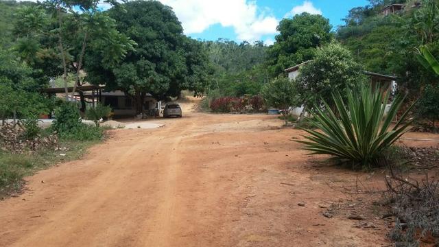 Sítio Próximo ao Trevo de Pacas X Colatina - Foto 11