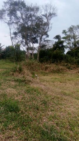 Terreno praia 12×30 Matinhos - Foto 2