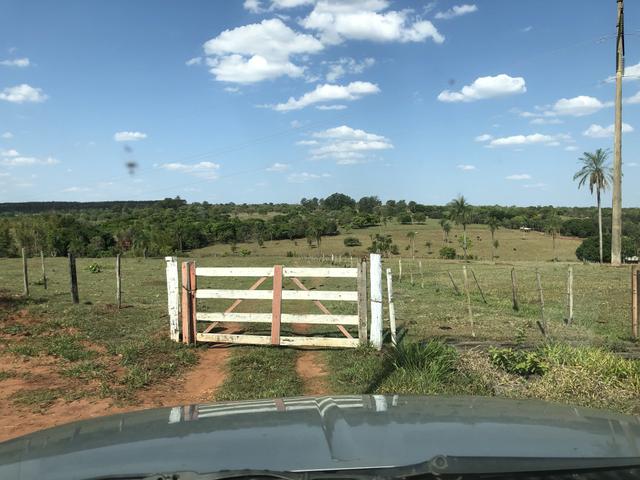 Vendo chácara próximo ao shopping bosque dos Ipês - Foto 18