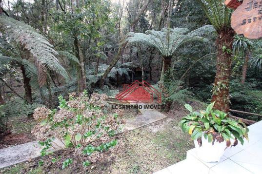 Chácara toda documentada com área de 36.000 m² (1,5 alqueire), toda cercada, com 4 tanques - Foto 10