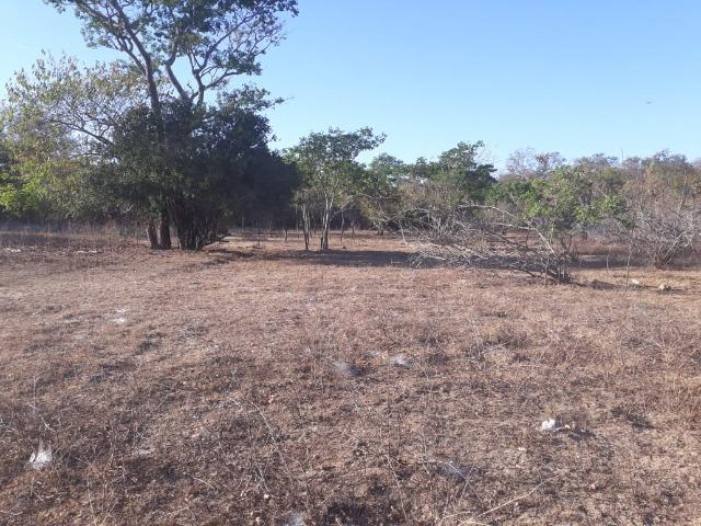 Chácara 04 hectares - Flores de Goiás - Foto 20