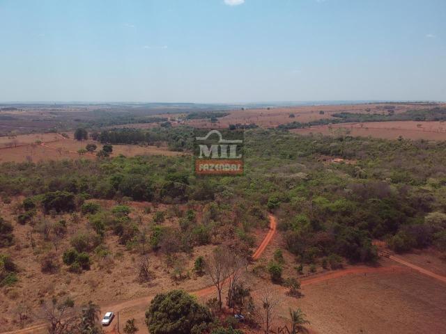 Chácara de 4.75 alqueires ( 23.05 ha ) Cristianópolis-GO - Foto 3