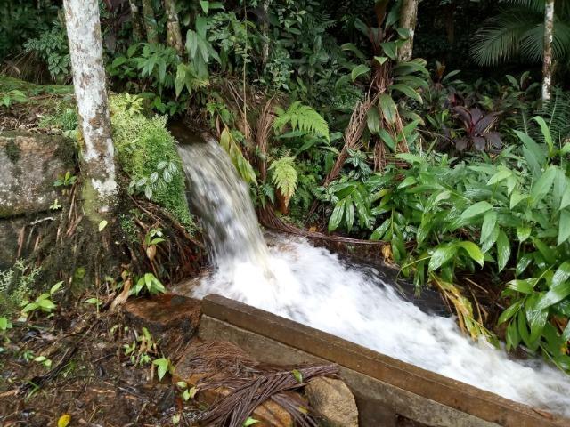 Chácara - América de Cima - Morretes - Foto 16